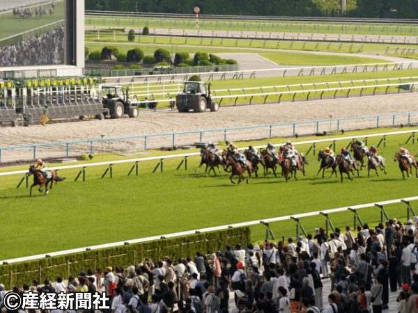 名牝馬の現地購入馬券15枚セット StarHorse4】【☆セール】8/10 牝馬販売にミスアンドレッティが