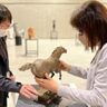 【千葉市中央区】千葉県立美術館で「さわる」と「みる」がであう彫刻展が開催