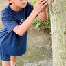 厚木の生物、アプリで調査　スマホで撮影し投稿