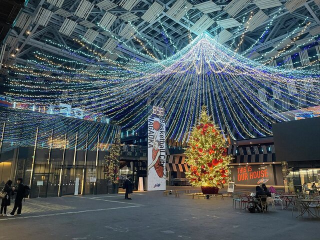 光と音楽が降り注ぐ空間】アオーレ長岡「Aollumination 2025-2026」2