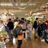 KIITOで、洋ラン・食虫植物・熱帯植物など約20店舗が集まる『秋のオーキッド＆ボタニカルフェア』が開催されるみたい