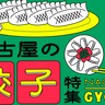 まとめ｜焼いても揚げても茹でてもよし！名古屋の餃子10選