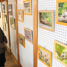 名張の自然伝える写真展　やなせ宿で2月5日まで