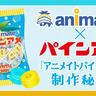 あのパインアメがアニメイトカラーの配色に!?　パインアメとアニメイトのコラボが実現！　コラボ商品の「アニメイトパインアメ」の制作秘話をパイン株式会社＆アニメイトの担当者が語る