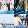 【新川漁港のイベント・食】爽快！潮風を浴びてマリンイベント楽しもう!!