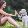 『犬は飼い主に似る』って本当なの？表情や気質への影響や犬本来の性格に合わせた注意点を研究結果と併せてご紹介