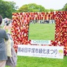 平塚市　花と緑でウエーブを　４月26日・27日　総合公園