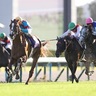 【有馬記念】過去10年のデータ×4項目から勝つ確率が最も高い馬を炙り出す！！