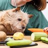 犬に『じゃがいも』を与えるときの絶対NG行為5選　愛犬に悪影響となる危険な食べさせ方とは？