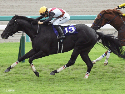 値下げ マイネルラヴ　スプリンターズS的中馬券 値下げ マイネルラヴ スプリンターズS的中馬券