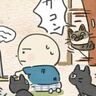 リモート会議が始まると急に騒がしくなる猫たち【猫マンガ】ねこ連れ草