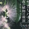 【9/7～】広島市植物公園の夜間開園「サガリバナと夜の植物の競演」で夜に咲く花を楽しもう