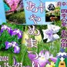 【6/15～】約200種7万本の花々が咲き誇る「第49回