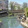 「駅チカ＆無料で楽しめる！」淡水小物釣りおすすめ釣り場『氷川つり堀公園』を紹介【東京】