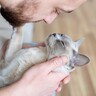 猫があなたに『ありがとう♪』と思っているときの4つの行動・仕草　どうお応えするのが正解？