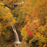 【紅葉シーズンついに到来】妙高の秋に滝・高原・温泉に彩り広がる