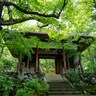 【京都】JR東海「常寂光寺に苔を見に行きましょう」