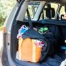愛犬と車中泊を快適に楽しむために｜基本を知って最高の思い出を作ろう