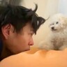 『顔を舐められたくない飼い主』と『舐めたい犬』の攻防戦→まさかの『悔しくてブチギレる光景』が281万再生「間抜けで好きｗ」「文句がｗ」