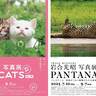 【7/10～】山口県立美術館で特別展「岩合光昭