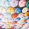 人気のフォトスポット「城町アンブレラスカイプロジェクト」晴れの日はもちろん雨の日もオススメ【9月6日まで】群馬県館林市
