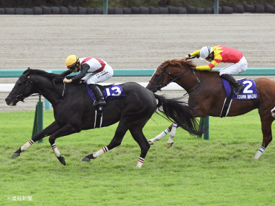 ダイタクヤマト 00年 スプリンターズS 16番人気 的中単勝馬券　全頭セット ダイタクヤマト 00年 スプリンターズS 16番人気 的中単勝馬券 全
