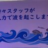 水族館に衝撃の掲示「時々スタッフが人力で波を起こします」　造波装置が故障したから...お魚たちも「がんばれ～」