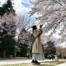 テーマは『情景の中の桜』北海道に桜の季節が到来！札幌の中島公園で撮影して〝なんだかいい感じ〟