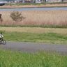 世界のホームラン王・王貞治の生誕の地「八広」を行けば、変貌著しい東京が見えてくる