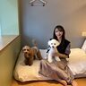 愛犬と楽しむ「OMO7大阪