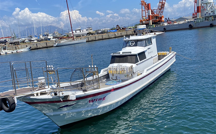 錦江湾遠征ルアー釣行でオオモンハタにマダイにカンパチが大爆釣【鹿児島・遊漁船Wing】 - Yahoo! JAPAN