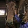 「ばんえい競馬がなかったら今の自分はない」23歳新人女性騎手「馬と生きる」素顔と夢【北海道・帯広】