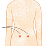 腎虚の人は冬に不調になりやすい！腰痛の原因別治療法は【生薬と漢方薬の事典】