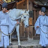 世界遺産『上賀茂神社』で邪気を祓う神馬の儀式～白馬奏覧神事～