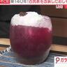 夏のお出かけにぴったり！築140年の古民家カフェで癒しのひととき（京都郡みやこ町）【ふるさとWish】