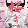 【3/30・31】「常國寺二引両桜まつり」開催！足利家ゆかりの品も特別公開