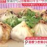 餃子好き必見！クラフト餃子フェスFUKUOKA2025で味わう！絶品＆個性派餃子が大集合（福岡市中央区）【ふるさとWish】