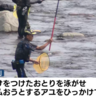 【待望】8月にかけて最盛期！！夏にかけて脂がのった大きいアユに　アユ釣り解禁　魚野川には多くの釣り人《新潟》
