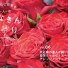 花と緑の達人が創り出す！愛情たっぷり！スペシャルなアレンジメント・フラワー【一人一花はなきん便り】
