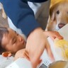 １歳の男の子と大型犬が『一緒にクッキーを作ったら』…カオスな光景と微笑ましい結末が10万再生「粉まみれｗ」「可愛いが溢れてる」と絶賛