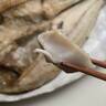 嘘みたいに簡単じゃん……。「冷凍干物」の身がふっくら！美味しく焼ける【裏ワザ】