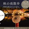 10/31と11/1は日本庭園が無料！昭和記念公園で紅葉ライトアップイベント「秋の夜散歩