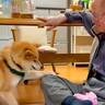 おじいちゃんを遊びに誘った犬→からかわれてしまい…逆ギレをする光景と尊いやり取りが7万再生「孫のよう」「言い返してるｗ」と絶賛の声