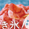 【魅惑のかき氷特集】天然氷＆氷屋の氷でつくる真夏のふわふわスイーツ♪＠長野県/山梨県
