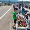 上越市の中央橋を花で彩る　市民グループが初の花苗植栽イベント開催