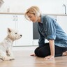 犬への間違った『ダメ』の使い方4選　叱られていることが伝わらないNG行為まで解説