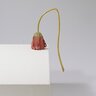 木彫で実物そっくりの植物を生み出す作家の個展「須田悦弘」展が、2025年2月2日まで『渋谷区立松濤美術館』で開催中
