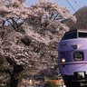 【春がきた】魅力的な鉄道と桜の関係