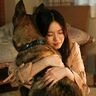 1頭の犬が、孤独な闇に包まれた心を解きほぐす…　映画『少年と犬』を見て頬を涙が伝った