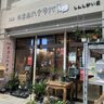 【熊本市中央区】ネコニハナタバしんしがい店が…移転！